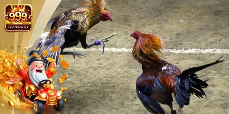 Đá Gà 999bet Luật Chơi Chi Tiết Và Lưu Ý Cho Người Mới 1 Đôi nét giới thiệu về sân chơi đá gà nhà cái 999bet